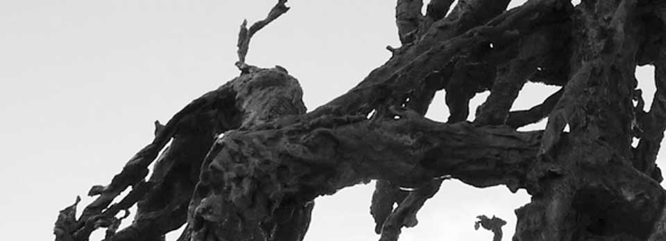Attivare e Costruire